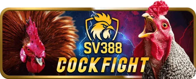 F68 chính thức - Hướng dẫn chơi casino trực tuyến